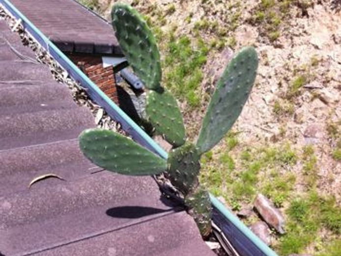 gutter-knight-franchise-for-sale-residential-commercial-gutter-protection-2