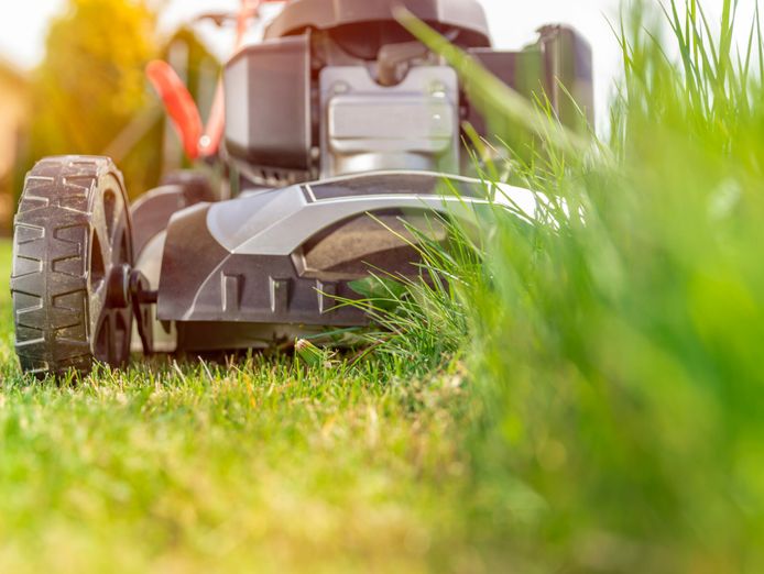cleaning-gardening-and-support-services-business-gawler-sa-4